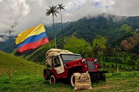 Authentic Coffee Farm Experience